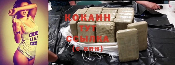 МДПВ Бородино