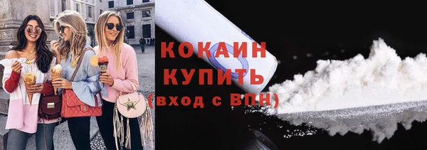 МДПВ Бородино