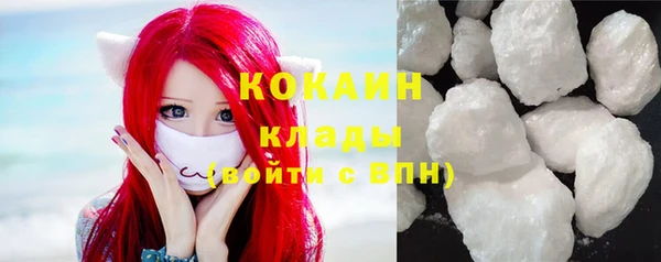 МДПВ Бородино