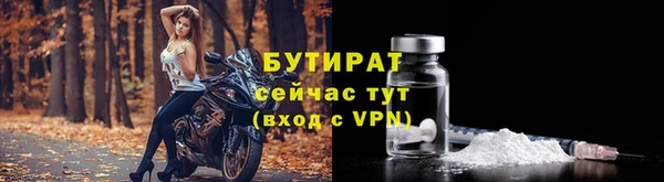 МДПВ Бородино