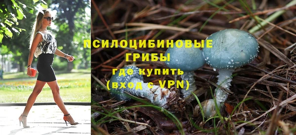 стаф Бронницы