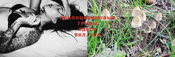 apvp Бугульма