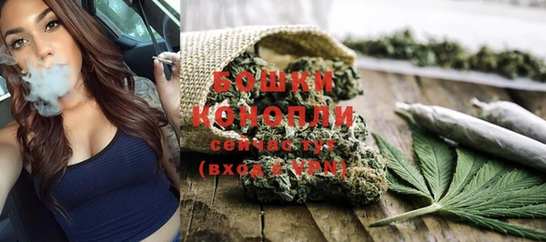 стаф Бронницы