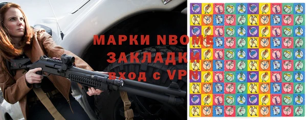 МДПВ Бородино