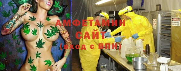 стаф Бронницы