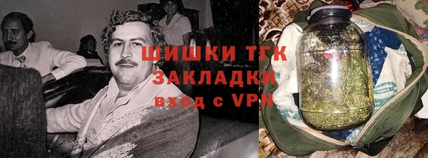 МДПВ Бородино
