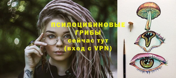 мдпв Верхний Тагил