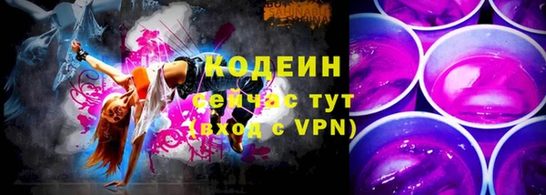 МДПВ Бородино