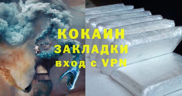 МДПВ Бородино