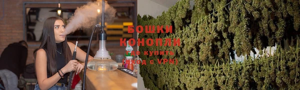 стаф Бронницы